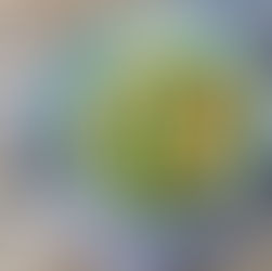 Haferbrei mit Gemüse in Schale