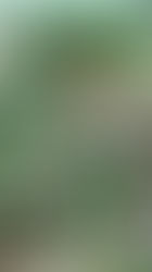 Minimalistisch kochen und essen – so geht's!