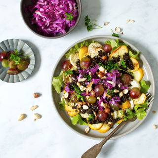 Zucchini-Carpaccio mit Rotkohl, Linsen und Trauben