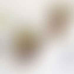 Heimisches Superfood: Darum sind Leinsamen gesund