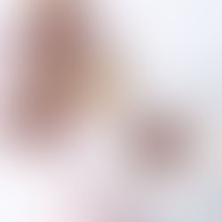 Backen ohne raffinierten Zucker: Rhabarber-Tartes