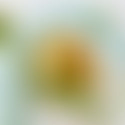 Schmerz lass nach: Mit einer entzündungshemmenden Ernährung