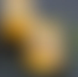 Wie Sie es schaffen weniger Alkohol zu trinken