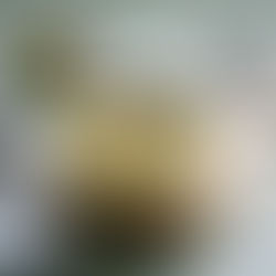 Basenfasten-Rezept: Basische Broccolisuppe mit Kresse