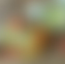 Gemischter Salat mit Feta und Petersilien-Dressing