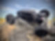 FullSizeRender.jpg