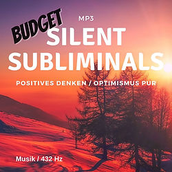 Cover_Sub_Budget_Optimismus_Musik.jpg