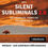 Miniaturbild: Silent Subliminals 2.0 - Optimismus: Positive Psychologie + MINDMOVIE