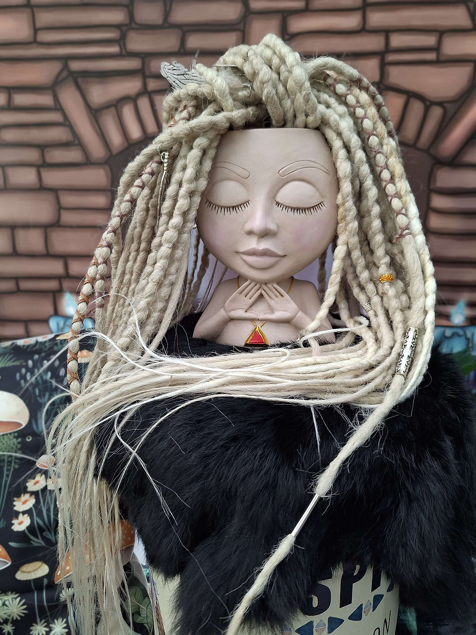 Miniaturbild: Dread Set Blond Gemischt 