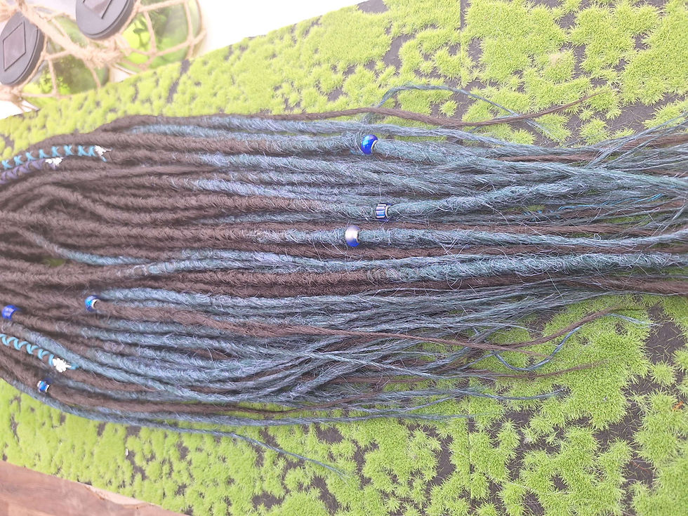 Miniaturbild: Dread Set Dunkel Braun mit Blauen Spitzen 