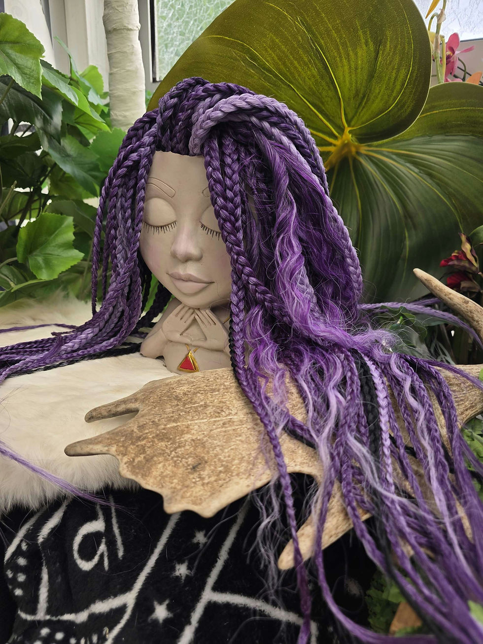 Miniaturbild: Braid Set Violett 