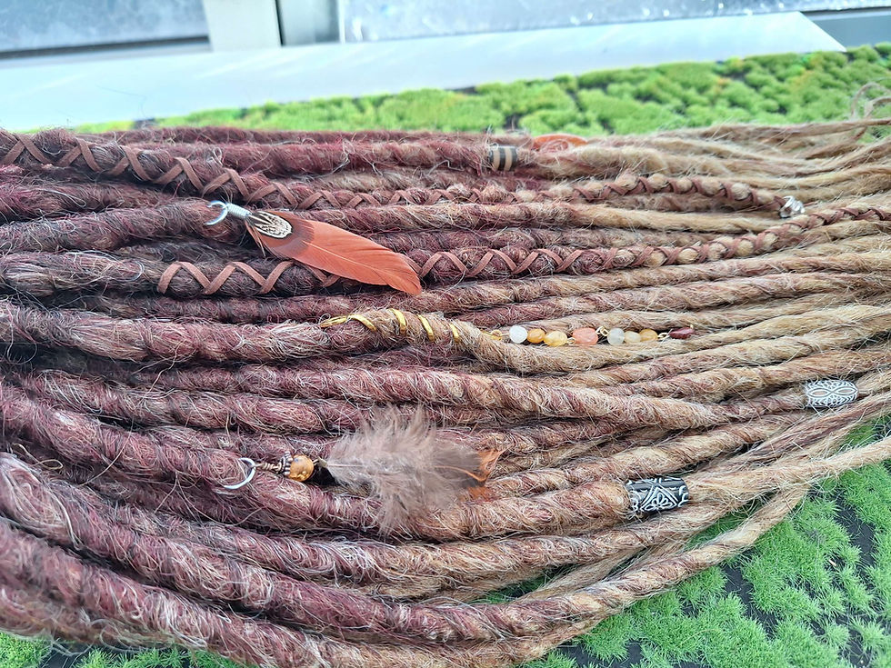 Miniaturbild: Dread Set Farbe gemischt mit Ombree 