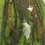 Miniaturbild: Dread Set a Haargummi Viking Style Schwarz