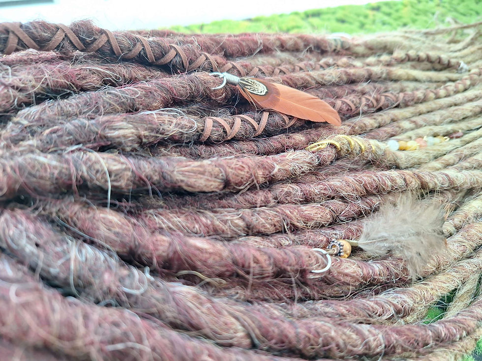 Miniaturbild: Dread Set Farbe gemischt mit Ombree 