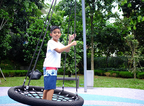 playground supplier singapore, tree house condo playground, playground equipment supplier singapore