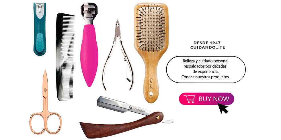 Pagina web buena 2.jpg