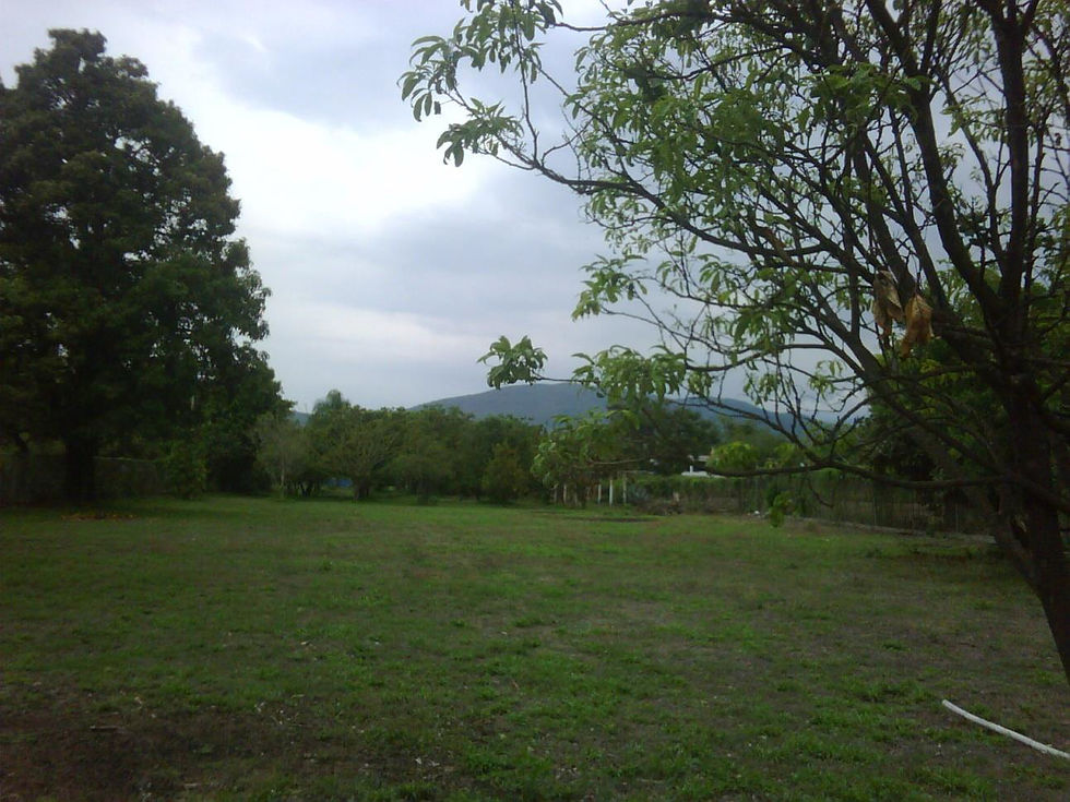 yautepec 1