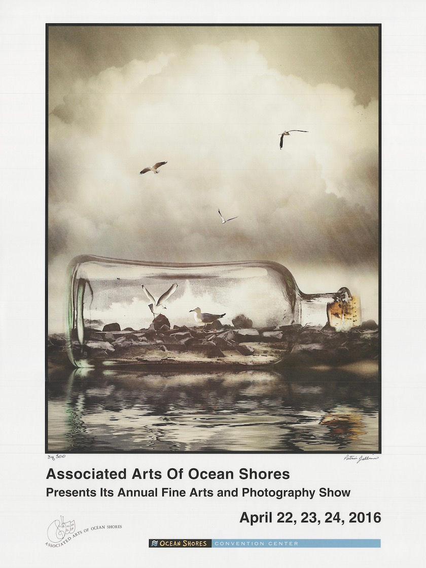 2016 AAOS Annual Fine Arts and Photography Show Poster