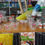 Miniatura: Vasos Desechables
