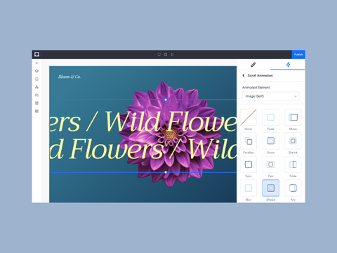 Por que o Wix Studio é a Escolha Certa para Criar Websites de Excelência