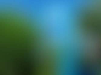 Novo Corte nos Juros do Consignado para Aposentados e Beneficiários do BPC: