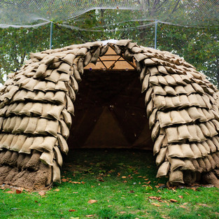 Mud Shell