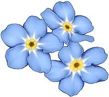 Flower 1.jpg