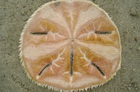 asdfasdfasdfa.png