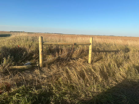 Don't Get Stuck on the Fence: Know The Path to Your Loved Ones Residency In the United States