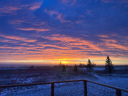 Louise's Utopia: South Dakota's Weather Those Blustery Days And Plans For Sunshine