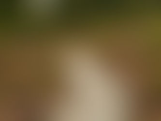 Highlight Craig Walking Trails