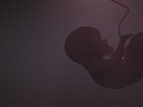 Fenam lança carta aberta contra feticídio e defende autonomia dos médicos