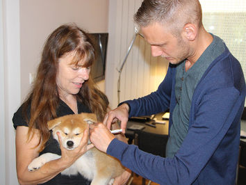 Het stel is gechipt / The bunch is micro chipped