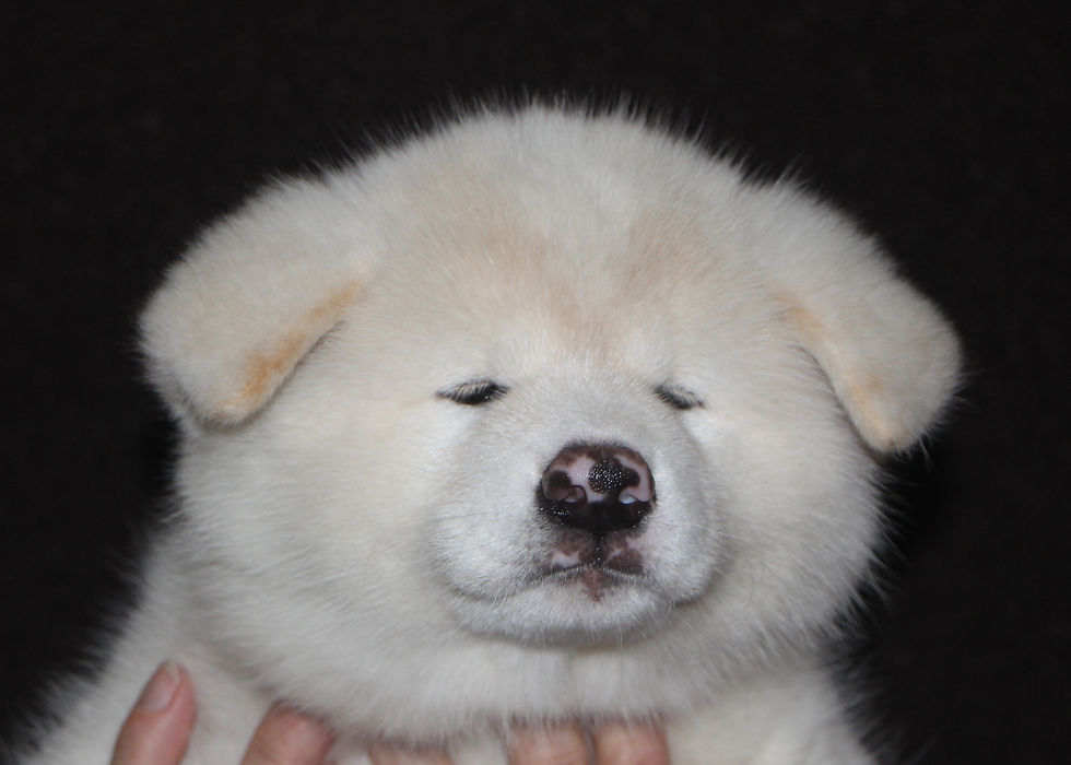 Dag 62, 7150 gram