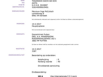 Goede resultaten gezondheidstesten Sachi / Good results health tests Sachi