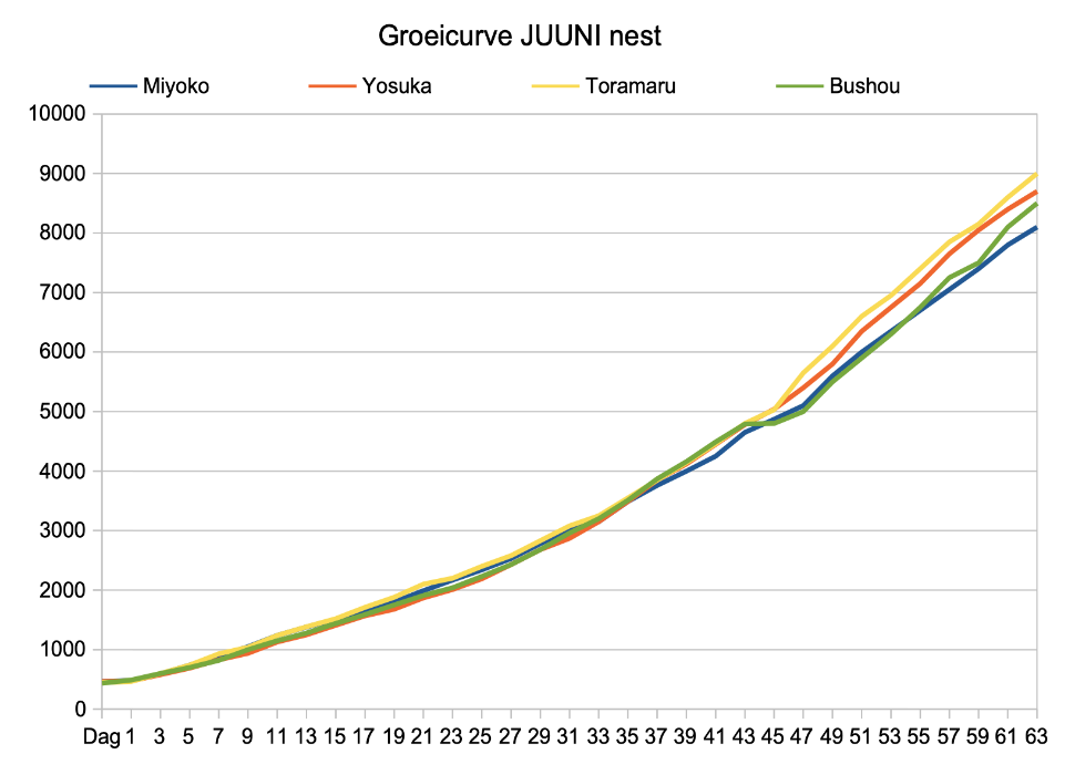 Groeicurve dag 63
