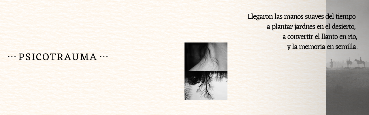 PSICOTRAUMA.png