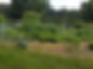 allotment_1.png