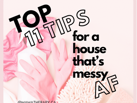 Top Eleven Tips for a House Messy AF.