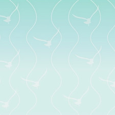 Ambleside-background-AQUA-GRADIENT_edited.jpg