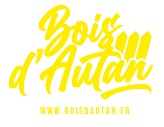 Logo-BDA-2.0-transparence_Plan de travail 1.png