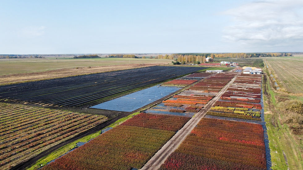 dji_export_1666002457463.jpg