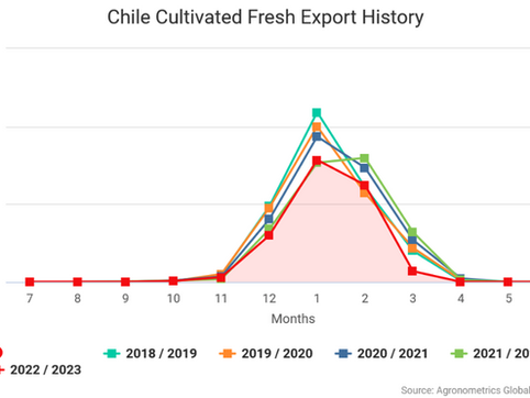 Чилийская голубичная промышленность