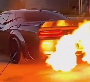 Fall Fest Sticker-5.png