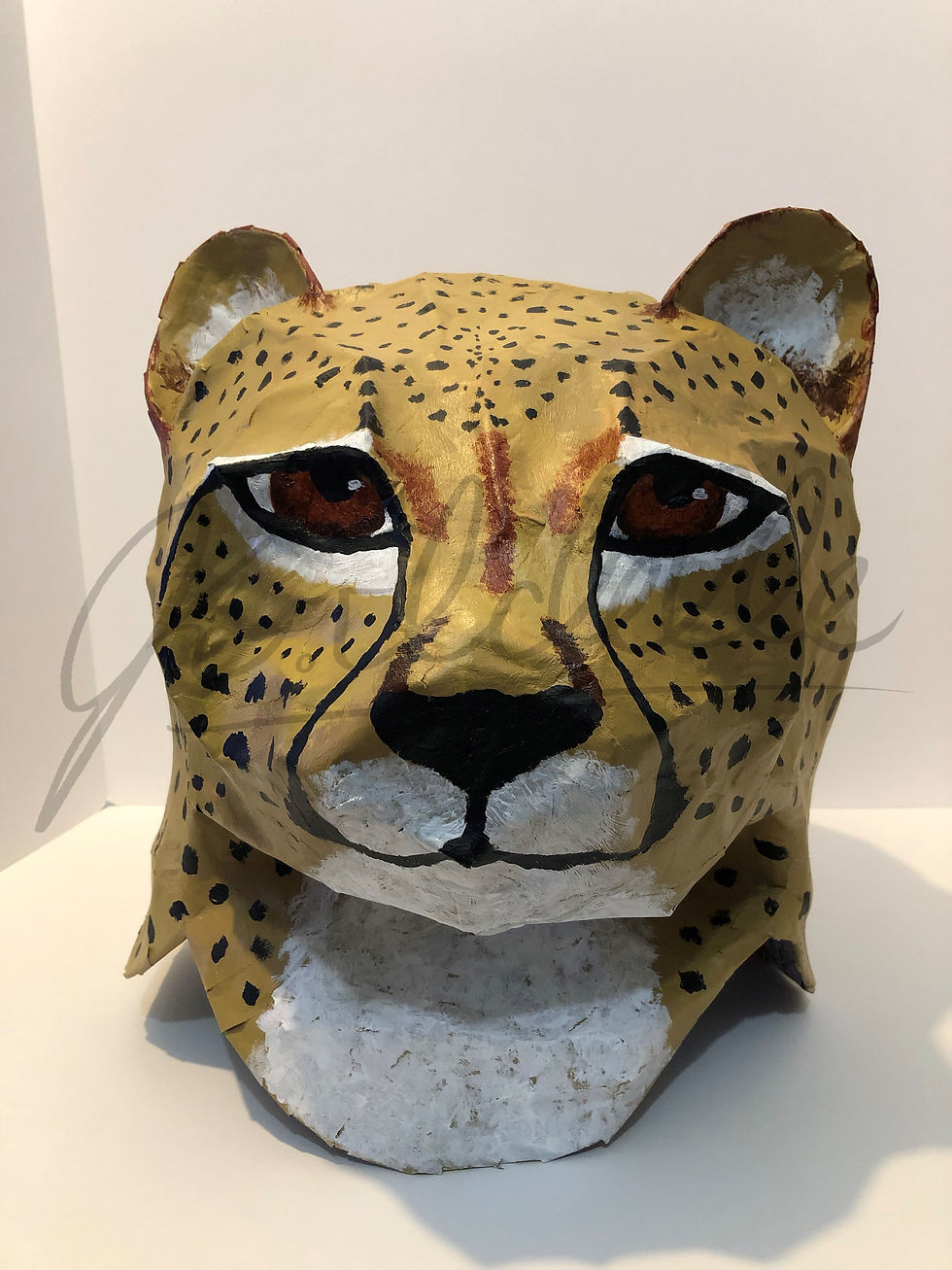 Cheetah Head