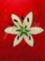 Lily