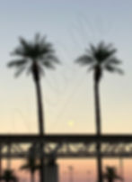 Between Two Palms