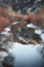 Quiet Reflection Watermark