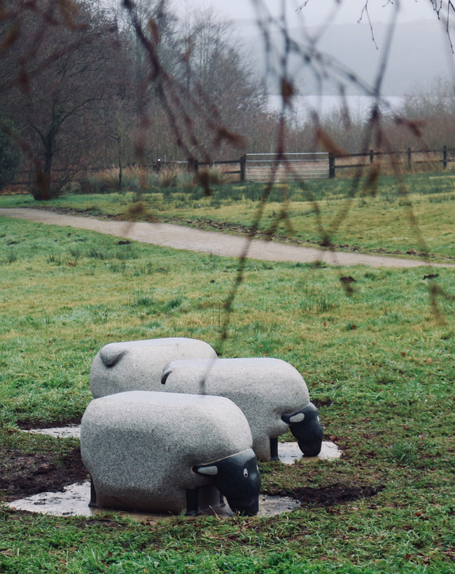 Sheep Seats