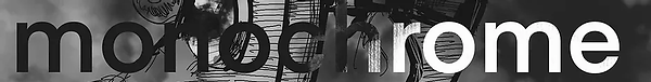 monochrome_edited.webp